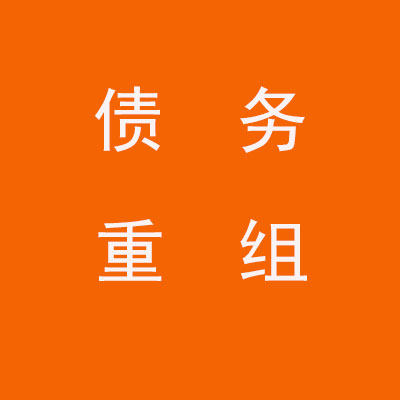 盐边个人债务重组优化